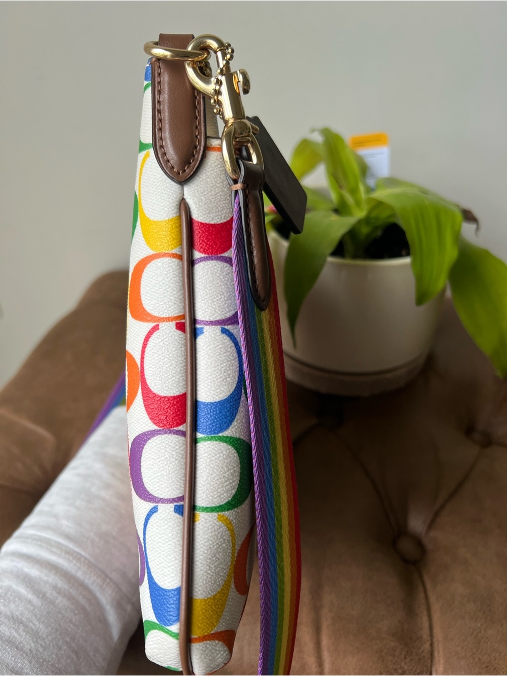 Coach Jes Slim Rainbow Crossbody Bag NWOT - Picture 11 of 11